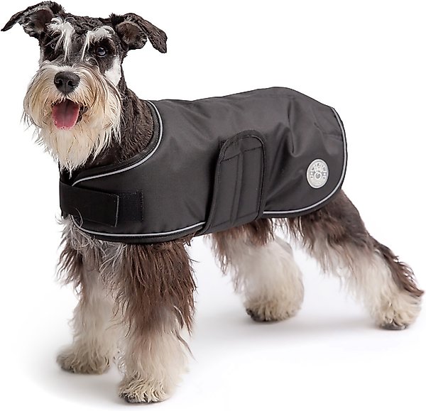 Show full view: GF Pet Blanket Dog Jacket, Black, Medium slide 1 of 5