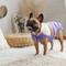 Show in main carousel: GF Pet Color Block Dog Puffer Jacket, Purple, X-Large slide 5 of 11