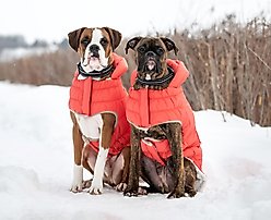 GF Pet Nordic Fiber Dog Parka, Cayenne, XXXX-Large slide 2 of 7