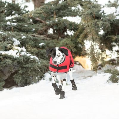 Show full view: GF Pet Blanket Dog Jacket, Red, XXXX-Large slide 3 of 5