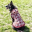 Show in main carousel: Wrangler Reversible Flannel & Fleece Dog Vest, Red Multi, X-Large slide 7 of 9
