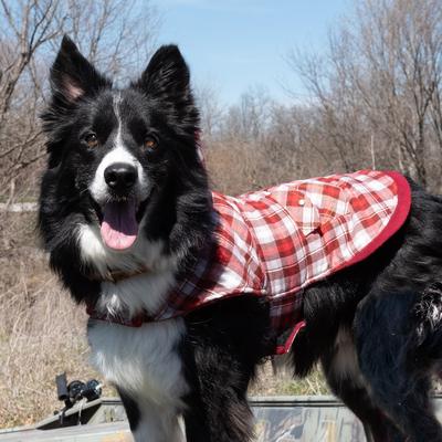 Show full view: Wrangler Reversible Flannel & Fleece Dog Vest, Red Multi, X-Small slide 6 of 9