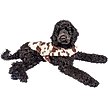 Show in main carousel: Wrangler Cow Print Fleece Dog Hoodie, Brown White, Large slide 4 of 7