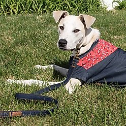 Wrangler Pattern Yoke Denim Dog Shirt, Dark Blue, Large slide 2 of 9