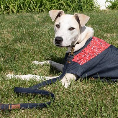 Show full view: Wrangler Pattern Yoke Denim Dog Shirt, Dark Blue, Small slide 10 of 10