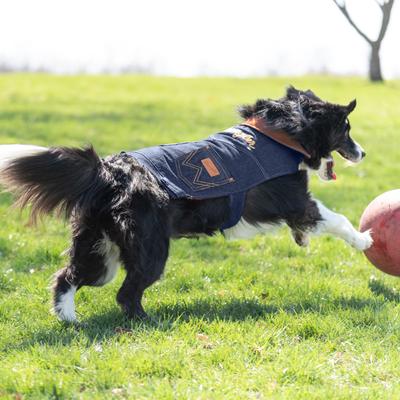 Show full view: Wrangler Dark Denim Dog Jacket with Lining, Dark Blue, X-Small slide 3 of 9