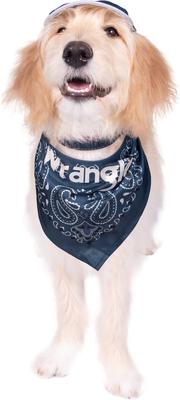 Show full view: Wrangler Paisley Dog Bandana, Navy Multi, X-Small/Small slide 4 of 5