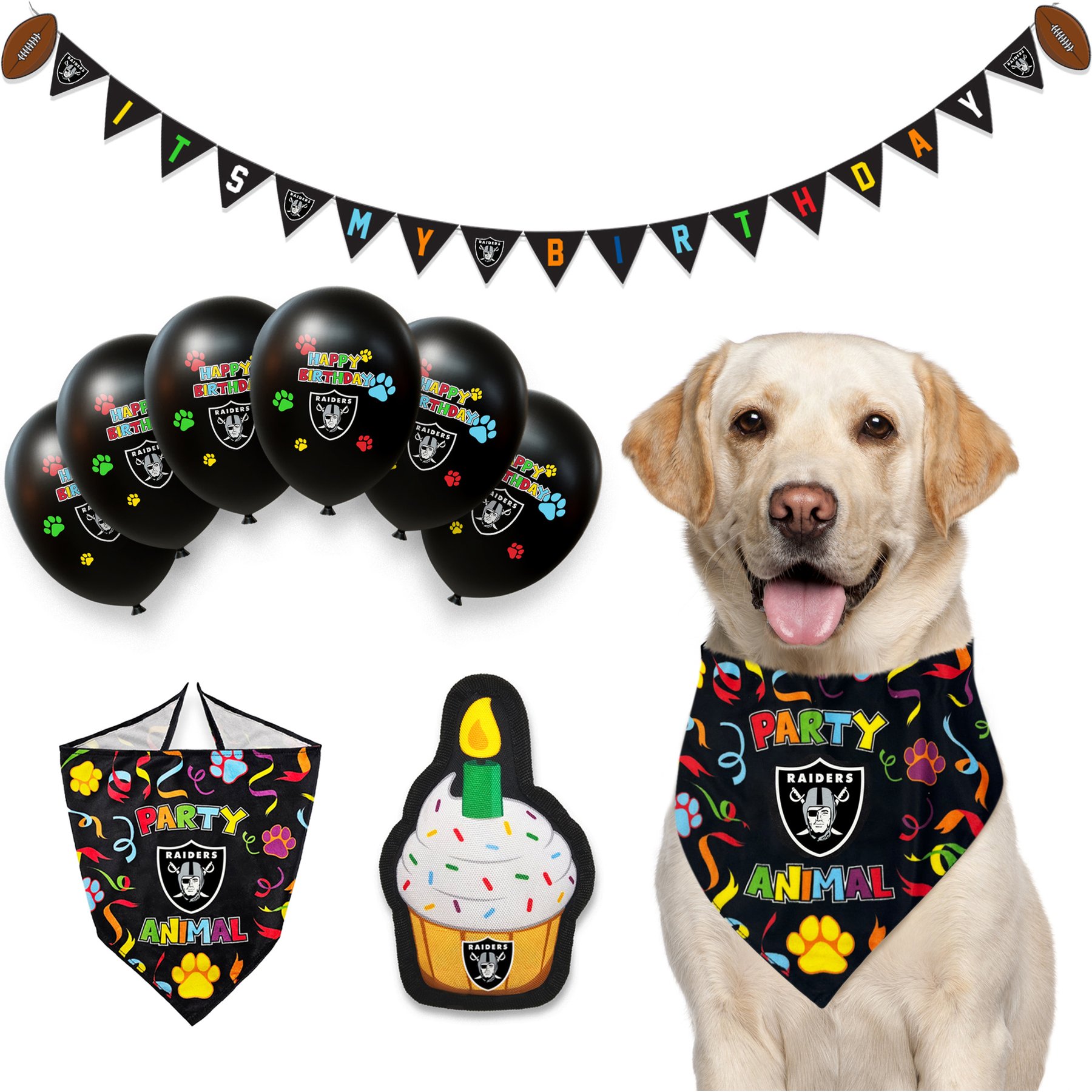 Pets First NFL Dog Toy Birthday Set Variety Pack, Las Vegas Raiders, 9 piece