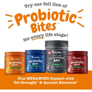 Zesty Paws Probiotic Bites Pumpkin Flavored Soft Chews Gut Flora & Digestive Supplement for Dogs, 90 count
