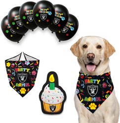 Pets First NFL Dog Toy Birthday Set Variety Pack, Las Vegas Raiders, 8 piece slide 1 of 8