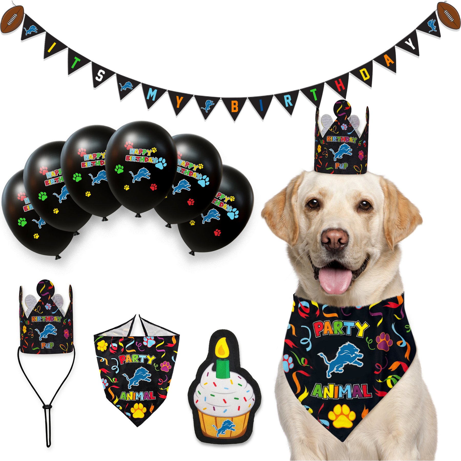 Pets First NFL Dog Toy Birthday Set Variety Pack, Detroit Lions, 10 piece