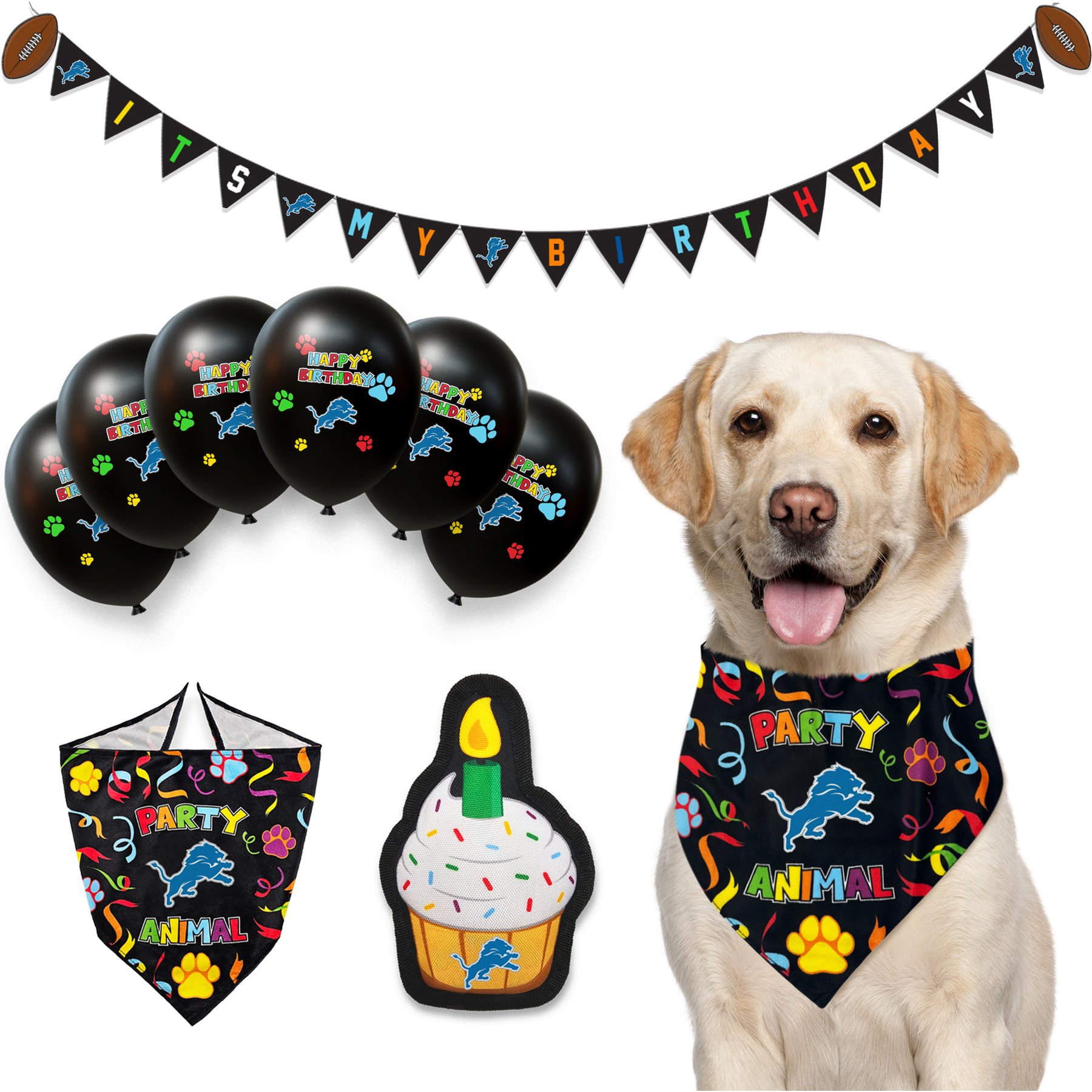 Pets First NFL Dog Toy Birthday Set Variety Pack, Detroit Lions, 9 piece