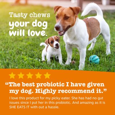 Show full view: Zesty Paws Probiotic Pumpkin Flavored Soft Chews Gut Health Supplement for Puppies, 90 count slide 7 of 9