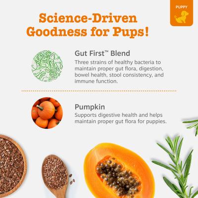 Show full view: Zesty Paws Probiotic Pumpkin Flavored Soft Chews Gut Health Supplement for Puppies, 90 count slide 4 of 9