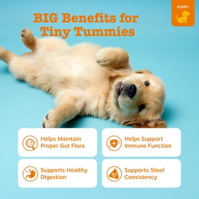 Show full view: Zesty Paws Probiotic Pumpkin Flavored Soft Chews Gut Health Supplement for Puppies, 90 count slide 3 of 9