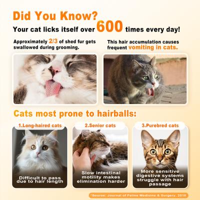 Show full view: Petterm Probiotic Hairball Control Powder for Cats, 15 count slide 7 of 10