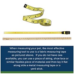 Hip Doggie Dog Rain Hat, Yellow, Large slide 2 of 5