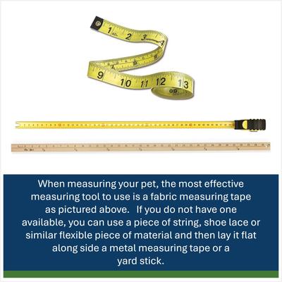 Show full view: Hip Doggie Reversible Dog Raincoat, Red, Medium slide 7 of 10