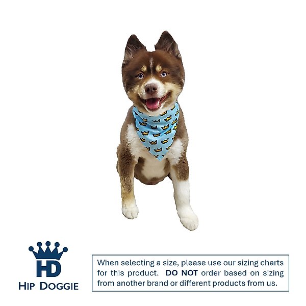 Show full view: Hip Doggie Birthday Boy Reversible Dog Bandana, Large slide 3 of 8