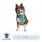 Show in main carousel: Hip Doggie Nobody Puts Puppy in the Corner Reversible Dog Bandana, Small slide 2 of 8