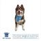 Show in main carousel: Hip Doggie Nobody Puts Puppy in the Corner Reversible Dog Bandana, Small slide 3 of 8