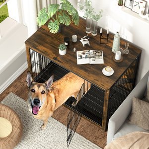 BingoPaw Modern Furniture Style End Table Dog Crate, 38-inch