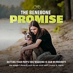 Benebone Rubber Bone Dog Chew Toy, Green, Medium slide 2 of 8