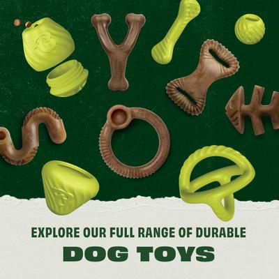 Show full view: Benebone Rubber Bone Dog Chew Toy, Green, Medium slide 7 of 10