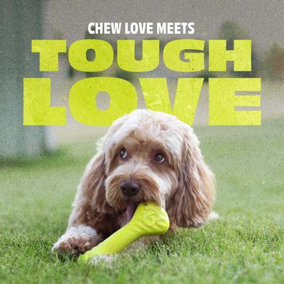 Show full view: Benebone Rubber Bone Dog Chew Toy, Green, Medium slide 4 of 10