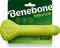 Benebone Rubber Bone Dog Chew Toy, Green, Medium