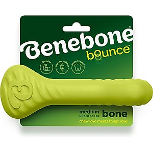 Benebone Rubber Bone Dog Chew Toy, Green, Medium