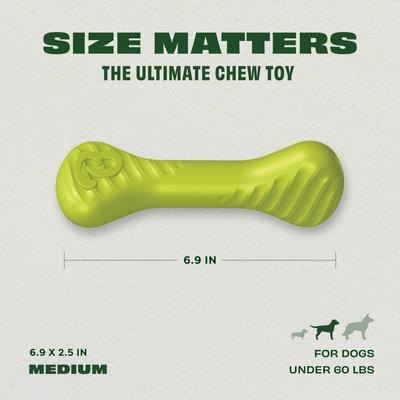 Show full view: Benebone Rubber Bone Dog Chew Toy, Green, Medium slide 3 of 10