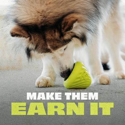 Show full view: Benebone Rubber Cone Treat Dispensing Dog Toy, Green slide 4 of 10