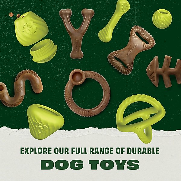 Show full view: Benebone Rubber Tug Dog Toy, Green slide 7 of 10