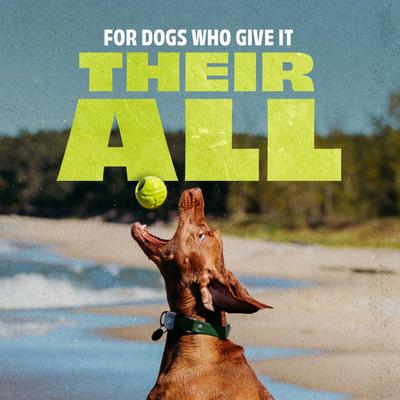 Show full view: Benebone Rubber Ball Treat Dispensing Dog Toy, Green slide 4 of 10