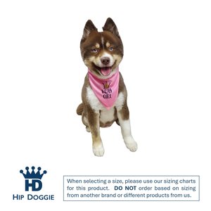 Hip Doggie Birthday Girl Reversible Dog Bandana, Small