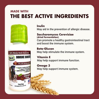 Show full view: Liquid-Vet K9 Immune Booster Chicken Flavor Liquid Supplement for Dogs, 8-fl oz bottle, 2 count slide 5 of 9