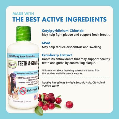 Show full view: Liquid-Vet Teeth & Gums Support Allergy-Friendly Unflavored Dog Supplement, 32-fl oz bottle slide 5 of 10