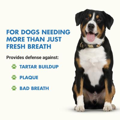 Show full view: Liquid-Vet Teeth & Gums Support Bacon Flavor Dog Supplement, 32-fl oz bottle slide 3 of 12