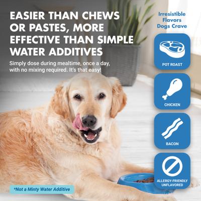 Show full view: Liquid-Vet Teeth & Gums Support Bacon Flavor Dog Supplement, 32-fl oz bottle slide 7 of 12