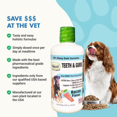 Show full view: Liquid-Vet Teeth & Gums Support Bacon Flavor Dog Supplement, 32-fl oz bottle slide 6 of 12