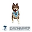 Show in main carousel: Hip Doggie Birthday Boy Reversible Dog Bandana, Large slide 2 of 8
