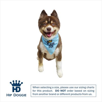 Show full view: Hip Doggie Birthday Boy Reversible Dog Bandana, X-Small slide 2 of 9