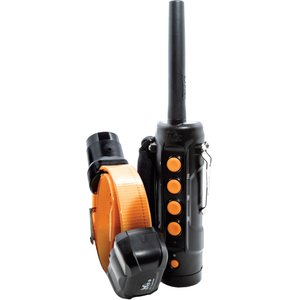 DT Systems Super Pro Ranger 5300 Upland Dog Training Collar