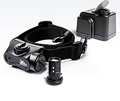 DT Systems Bark Boss Rechargeable No Bark Dog Collar