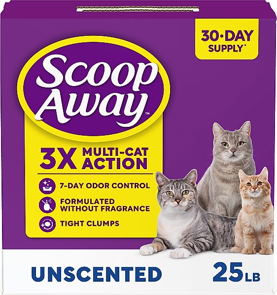 Instant Action Tidy Cat At Walmart Non Clumping Litter Tidy Cat