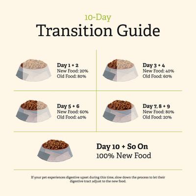 Show full view: Gather Endless Valley Vegan Dry Dog Food, 6-lb bag slide 7 of 12