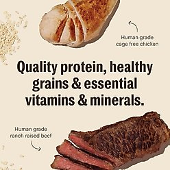 The Honest Kitchen Human Grade Essential Clusters Whole Grain Beef & Chicken Dry Dog Food, 20-lb bag slide 2 of 8