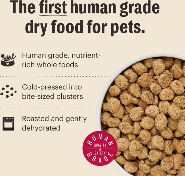 THE HONEST KITCHEN Essential Clusters Whole Grain Turkey & Chicken Dry ...