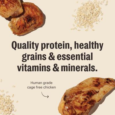 Show full view: The Honest Kitchen Human Grade Essential Clusters Whole Grain Chicken Dry Dog Food, 20-lb bag slide 9 of 10